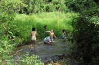 dsc 2011