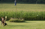 DSC 0539